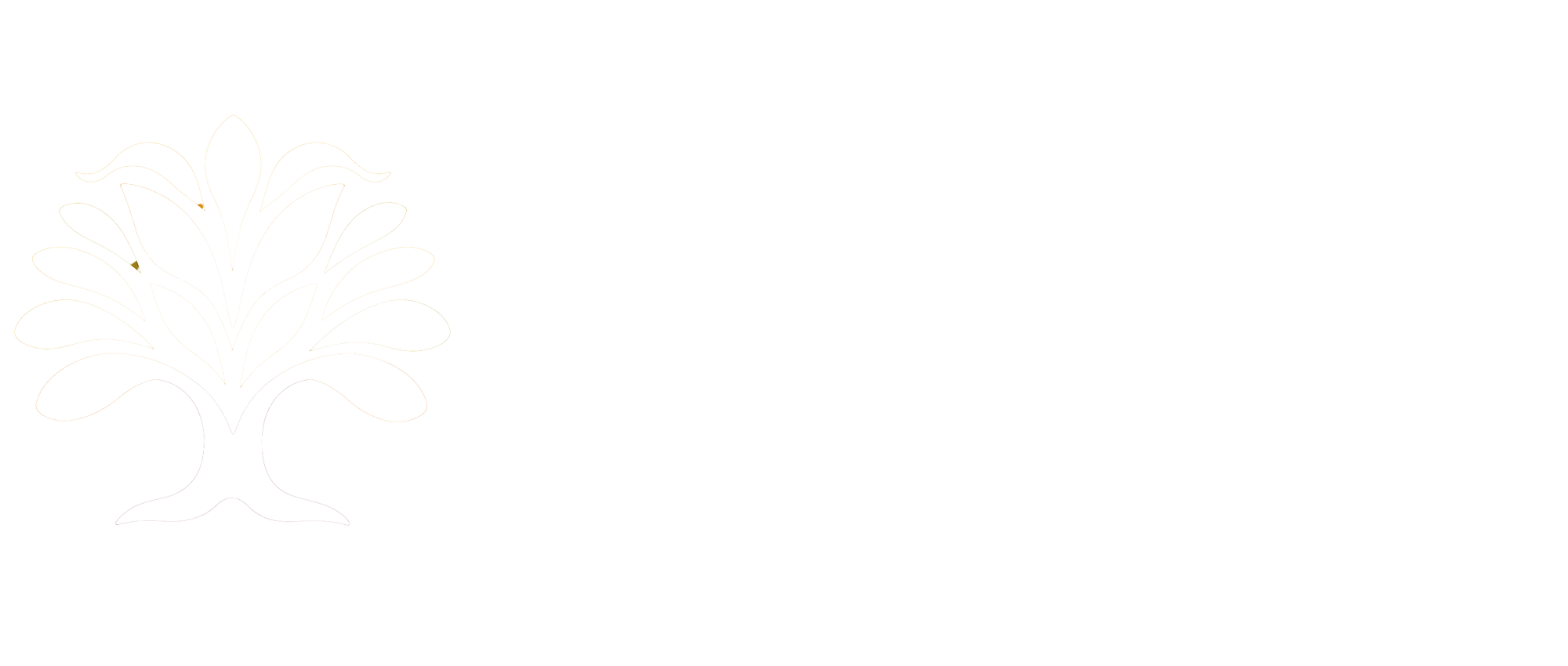 Five For Tomorrow